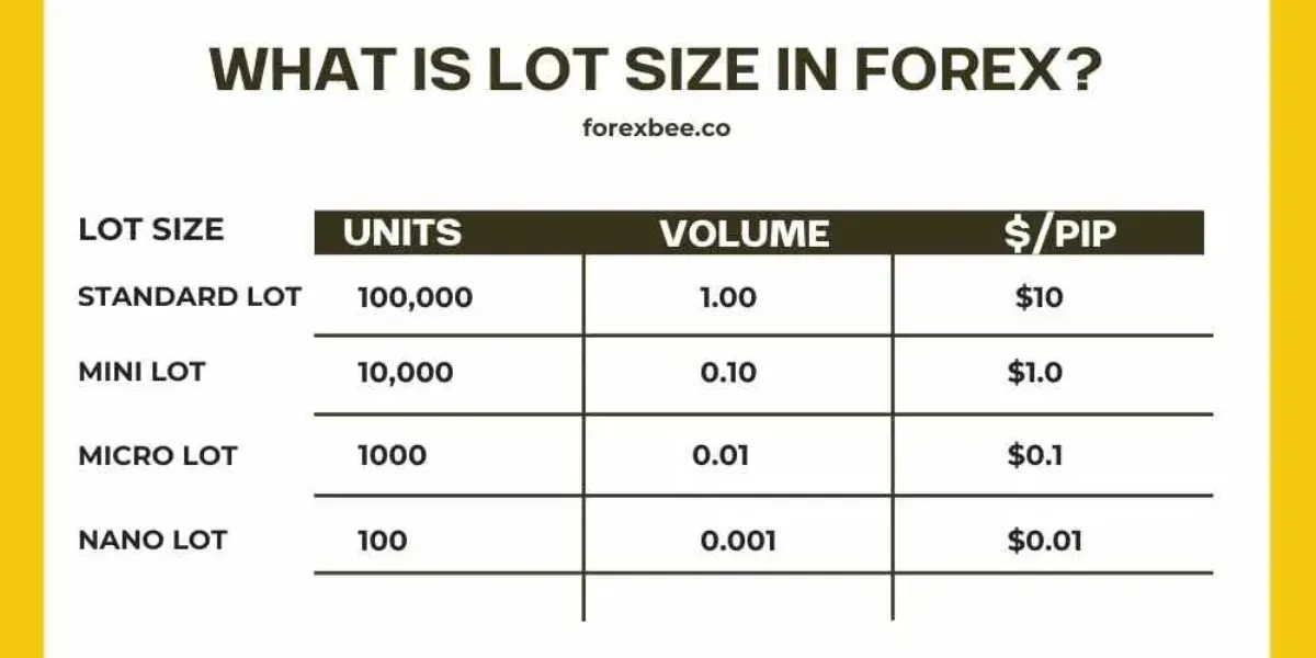 What is Lot Size in Forex Trading