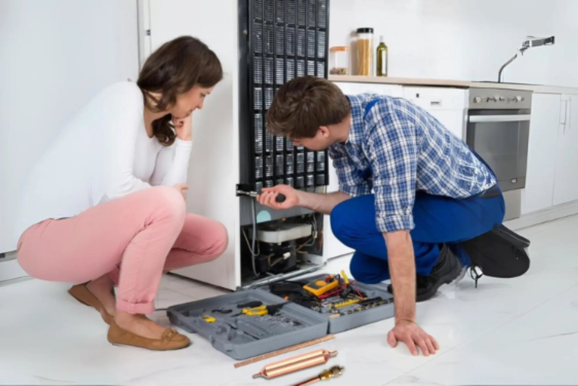 Expert Fridge Repair Services Near You