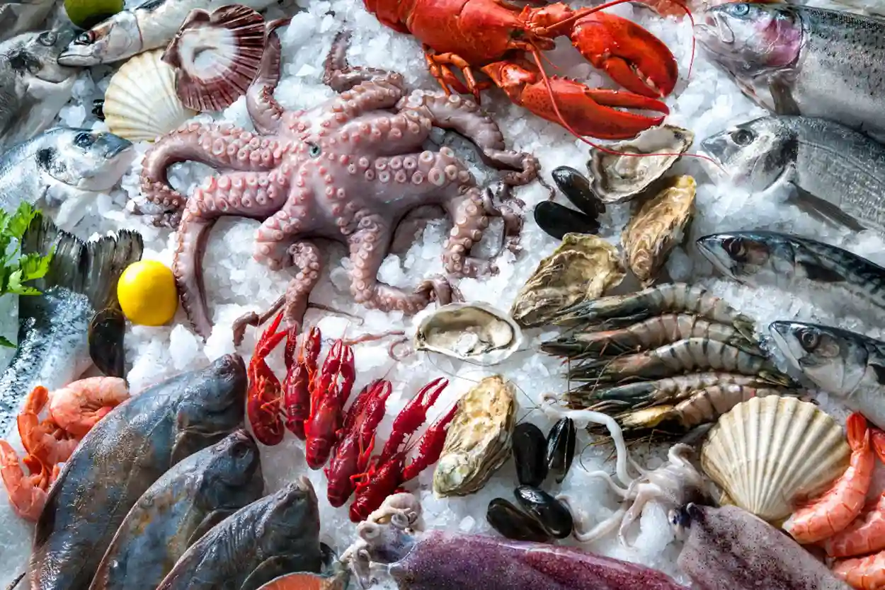 What Experts Say About United Fish Dubai Seafood Supply Chain